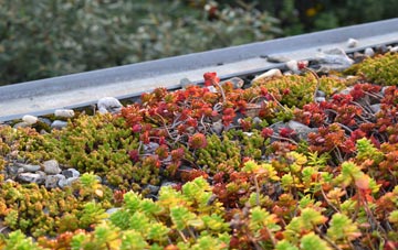 the cost of Westwell green roof installation